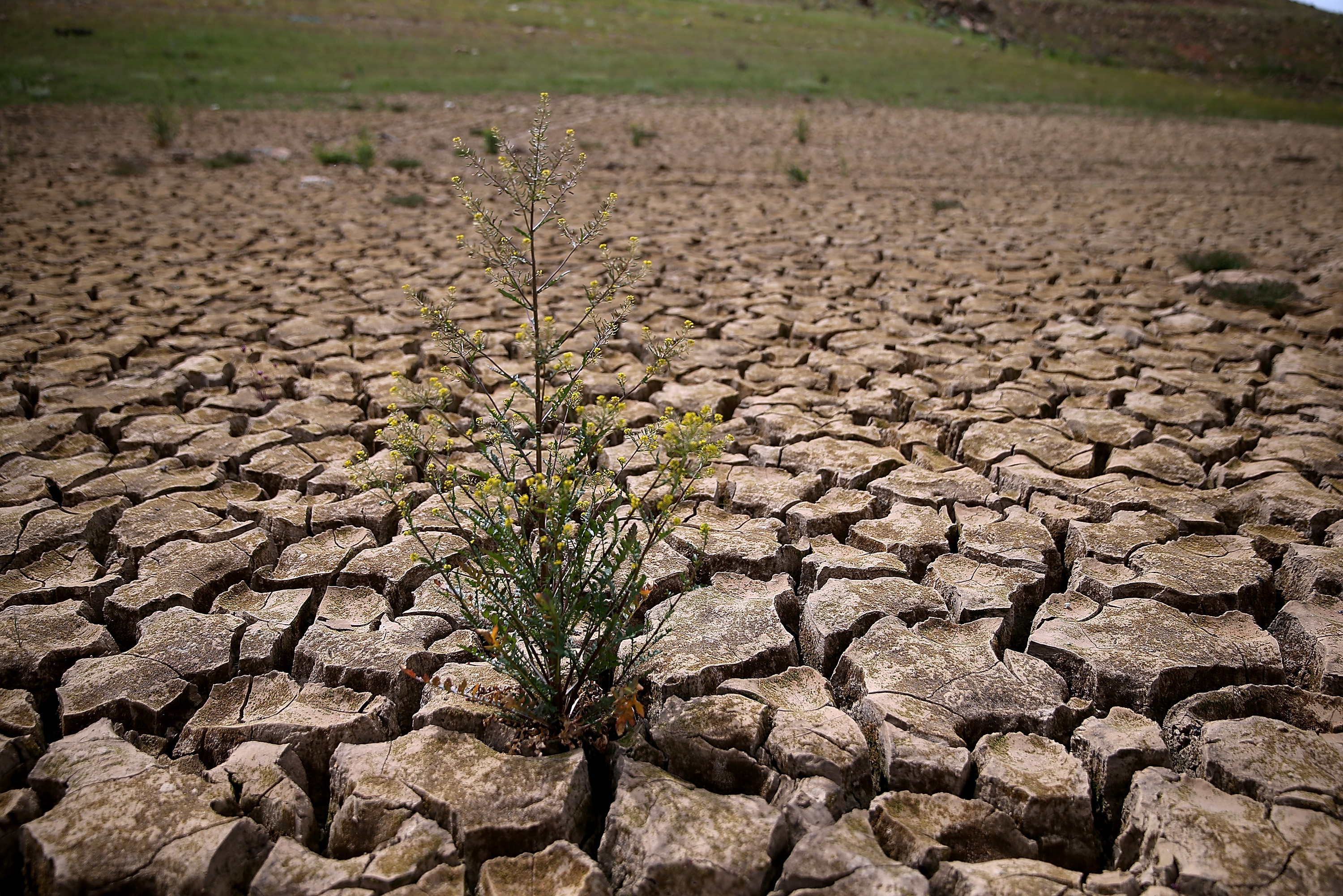 Drought-Stricken California Community Close To Running Out Of Water