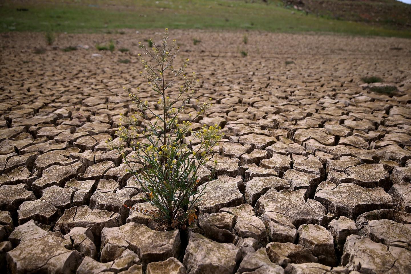 Drought-Stricken California Community Close To Running Out Of Water