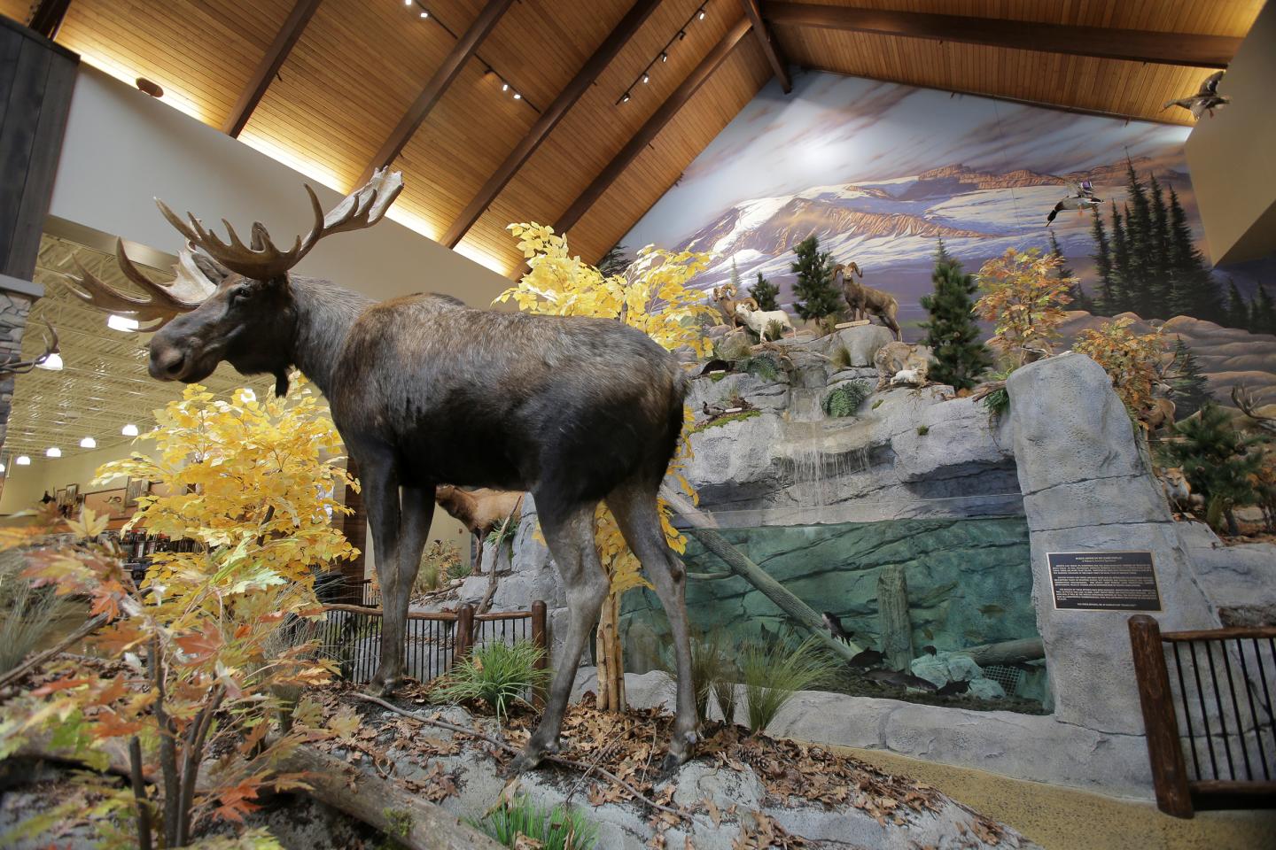 Outdoor Sports Store Cabela's Opens To Big Crowds In Berlin