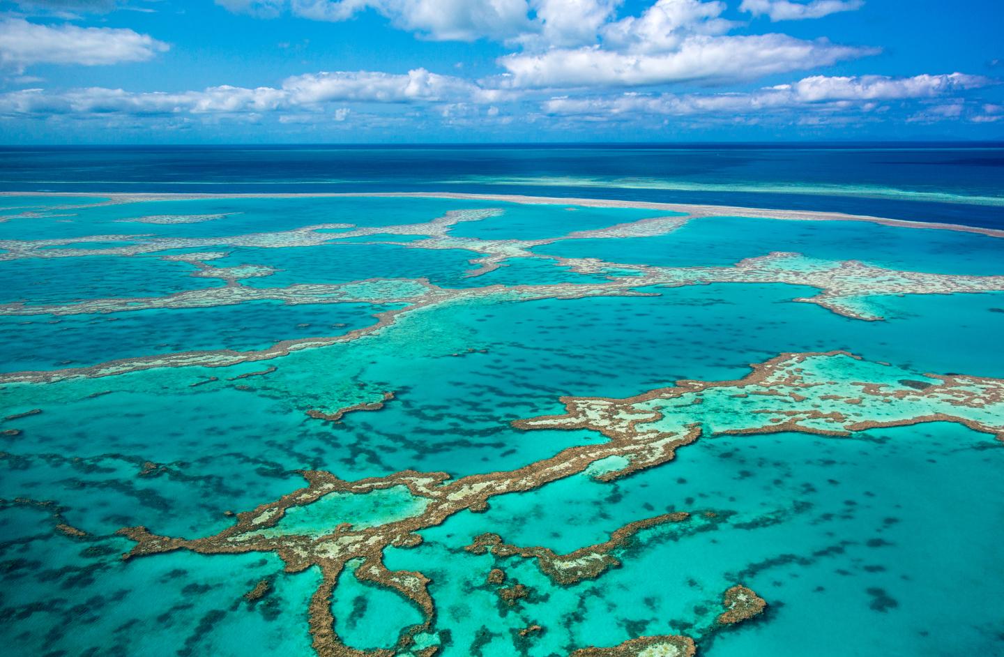 Australia Great Barrier Reef