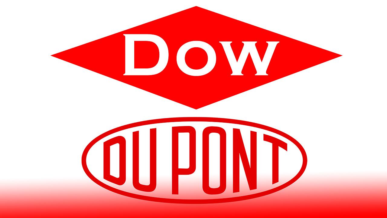 BASF Is Weighing a Counterbid for Dupont