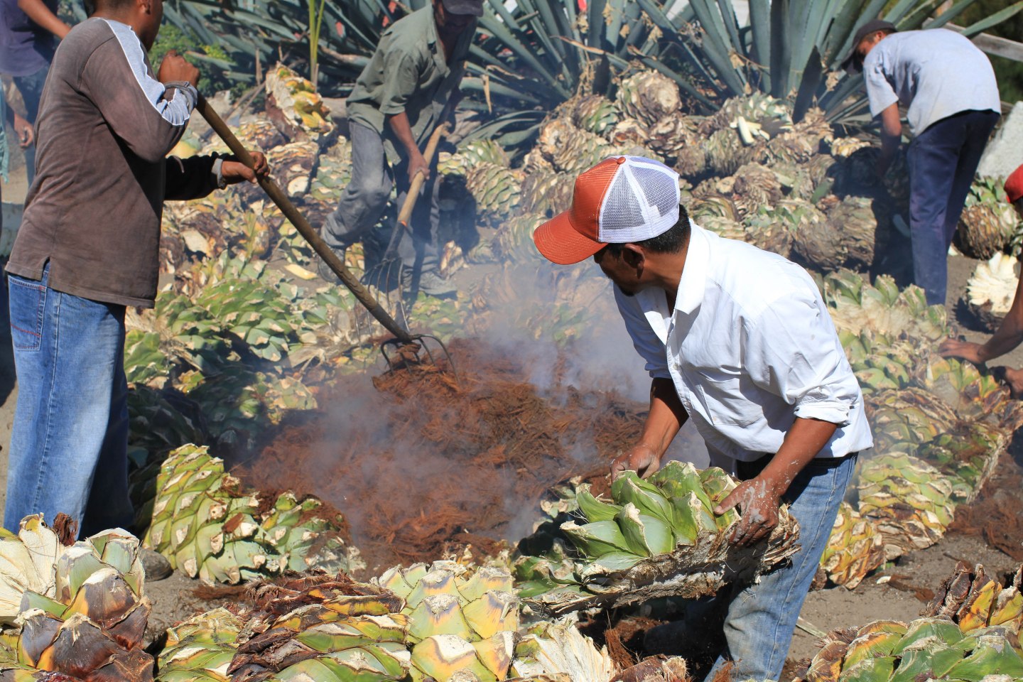 Cooking down agave for mezcal in Oaxaca, Mexico.