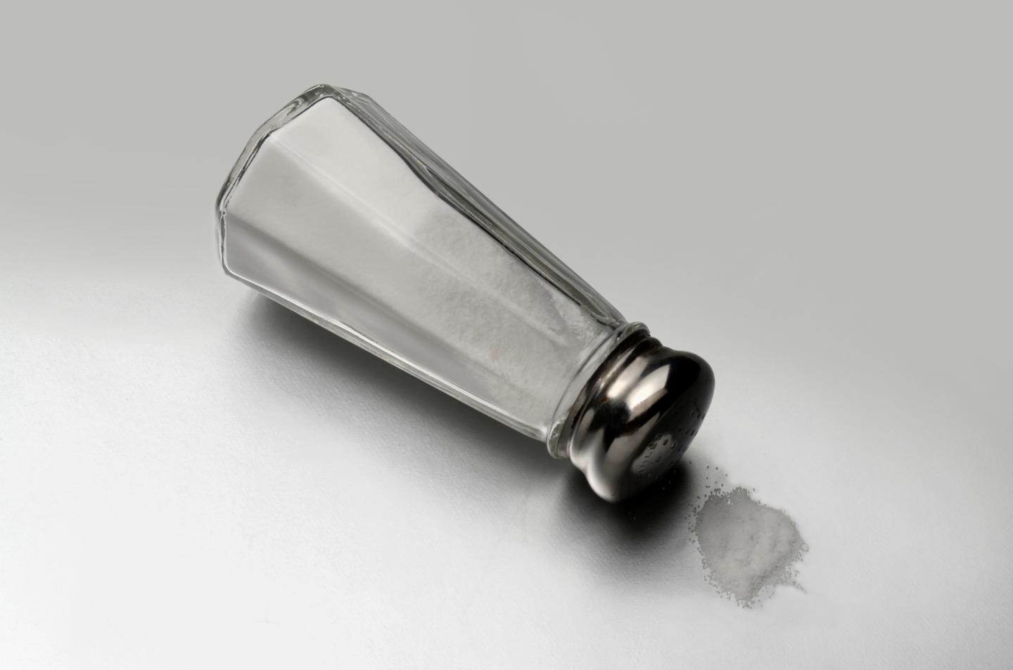 Restaurant Group Sues New York City Over Salt Labels