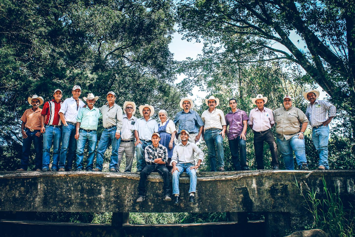 Equity for Coffee Farmers