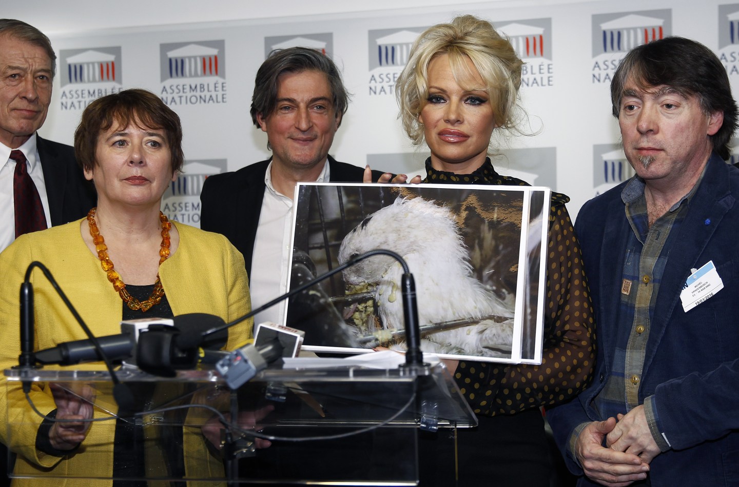 Pamela Anderson Is Invited To The France National Assembly To Support A Bill Against Force Feeding Animals