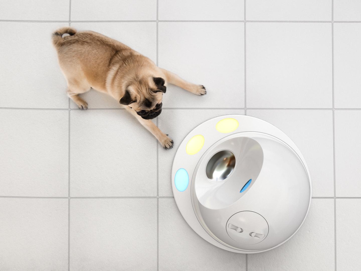 The 6 Weirdest Gadgets We Saw At CES
