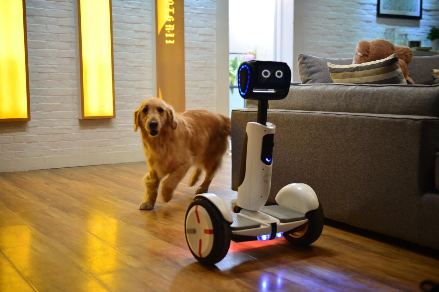 The Best Robot ‘Butlers’ At CES