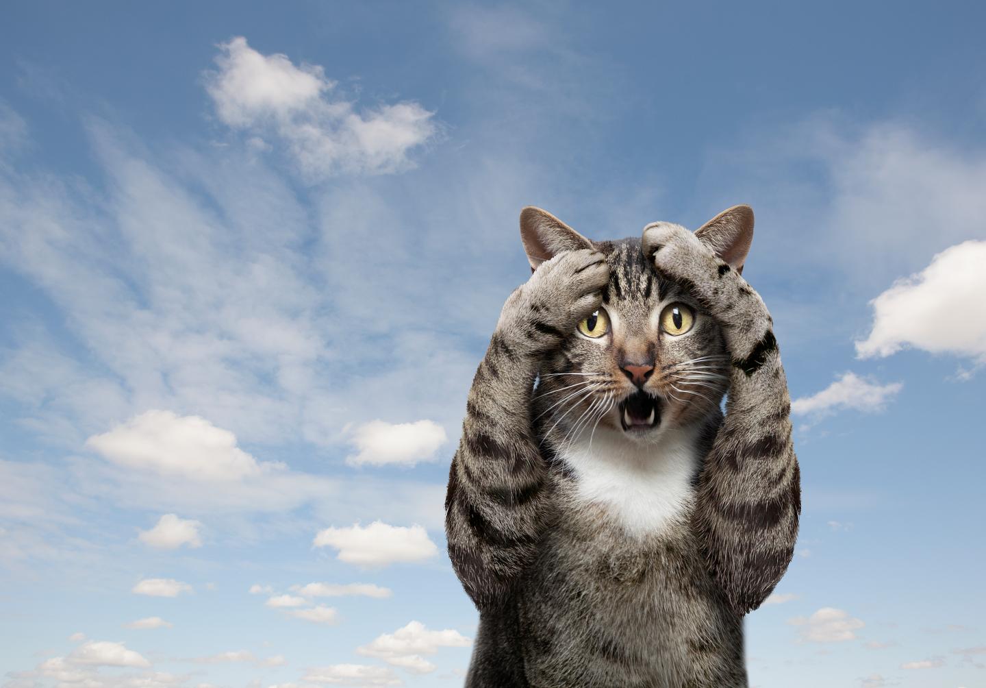 6 Things to Ask Yourself Before Delivering Bad News
