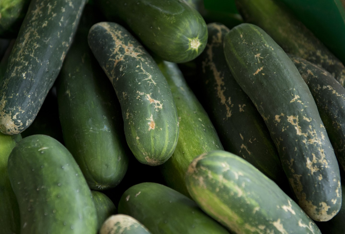 US-LIFESTYLE-FOOD-FRUITS AND VEGETABLES