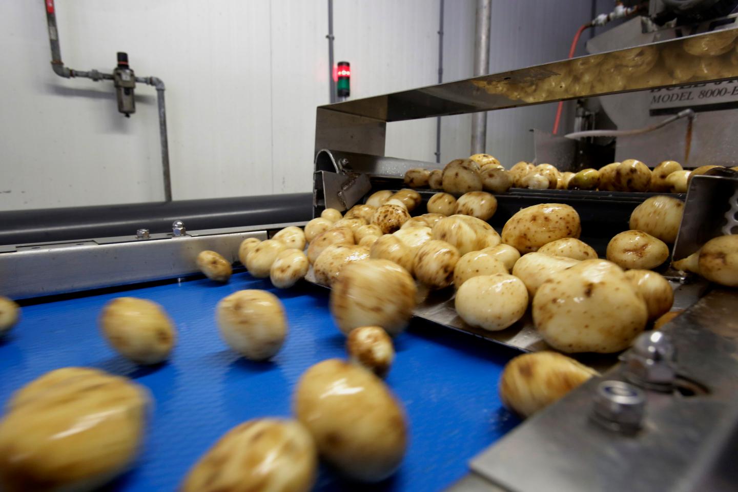 Operations Inside The Kettle Foods Inc. Potato Chip Production Facility