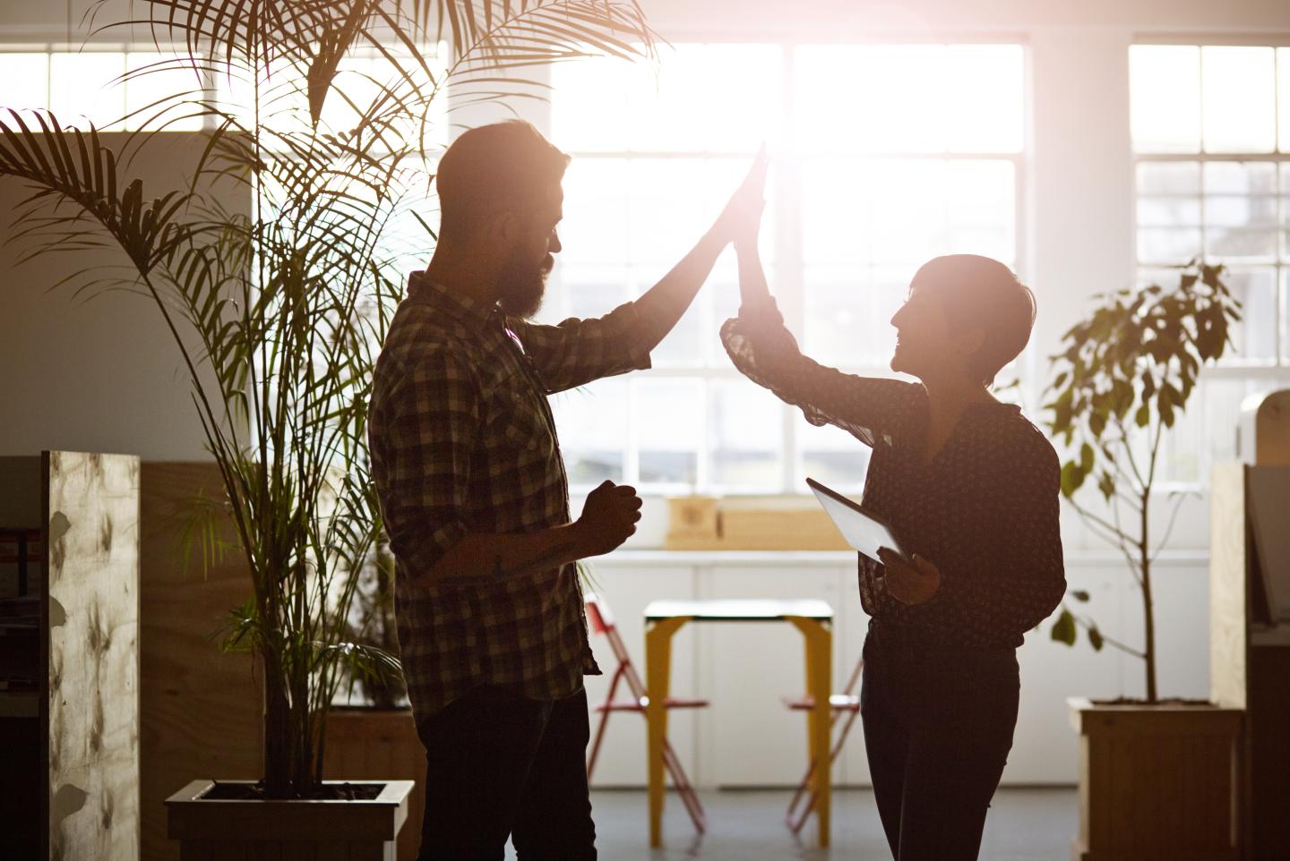 How to Prevent Your New Business From Becoming a Complete Failure