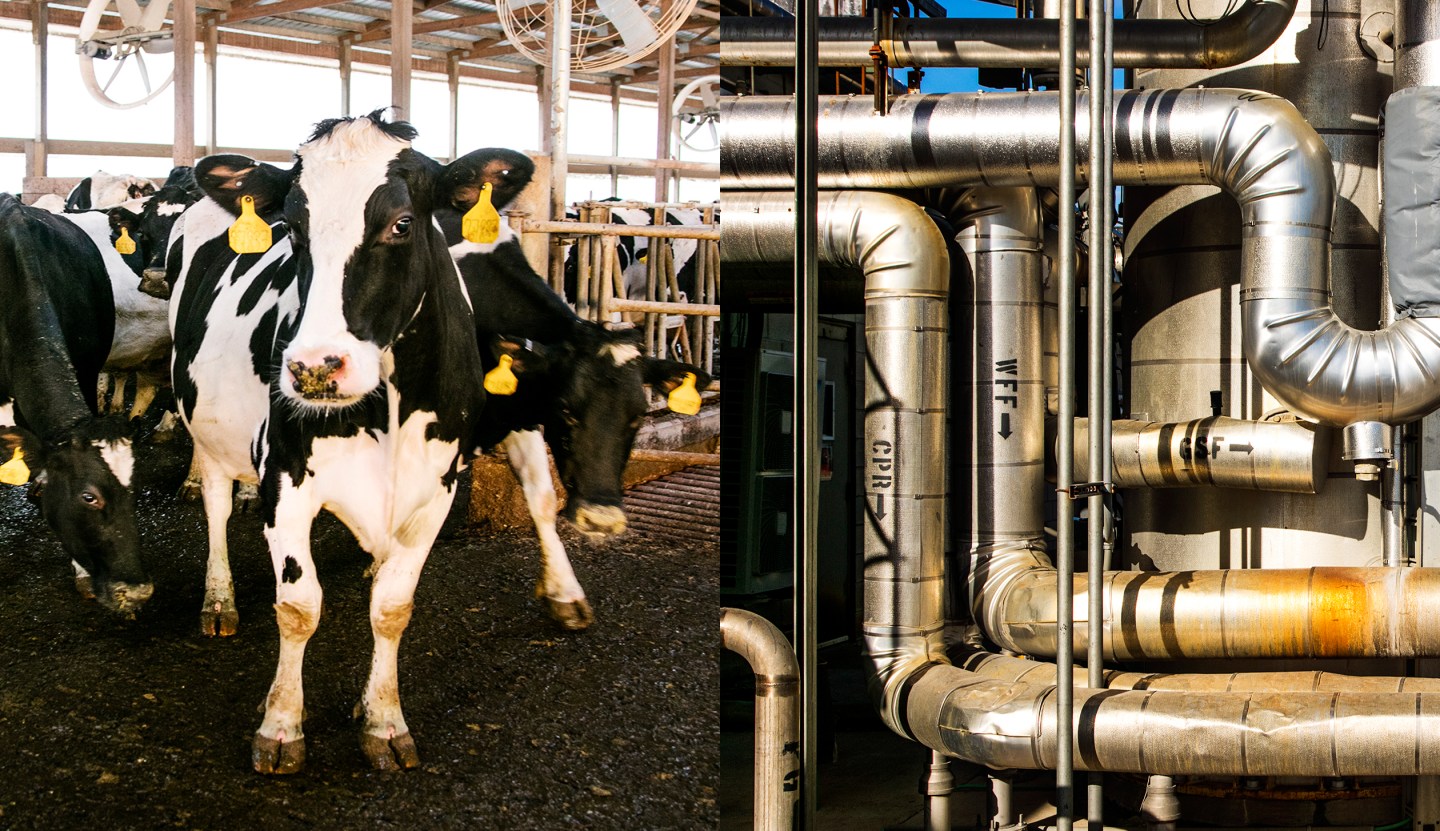 Big Agriculture Gets Its Sh*t Together