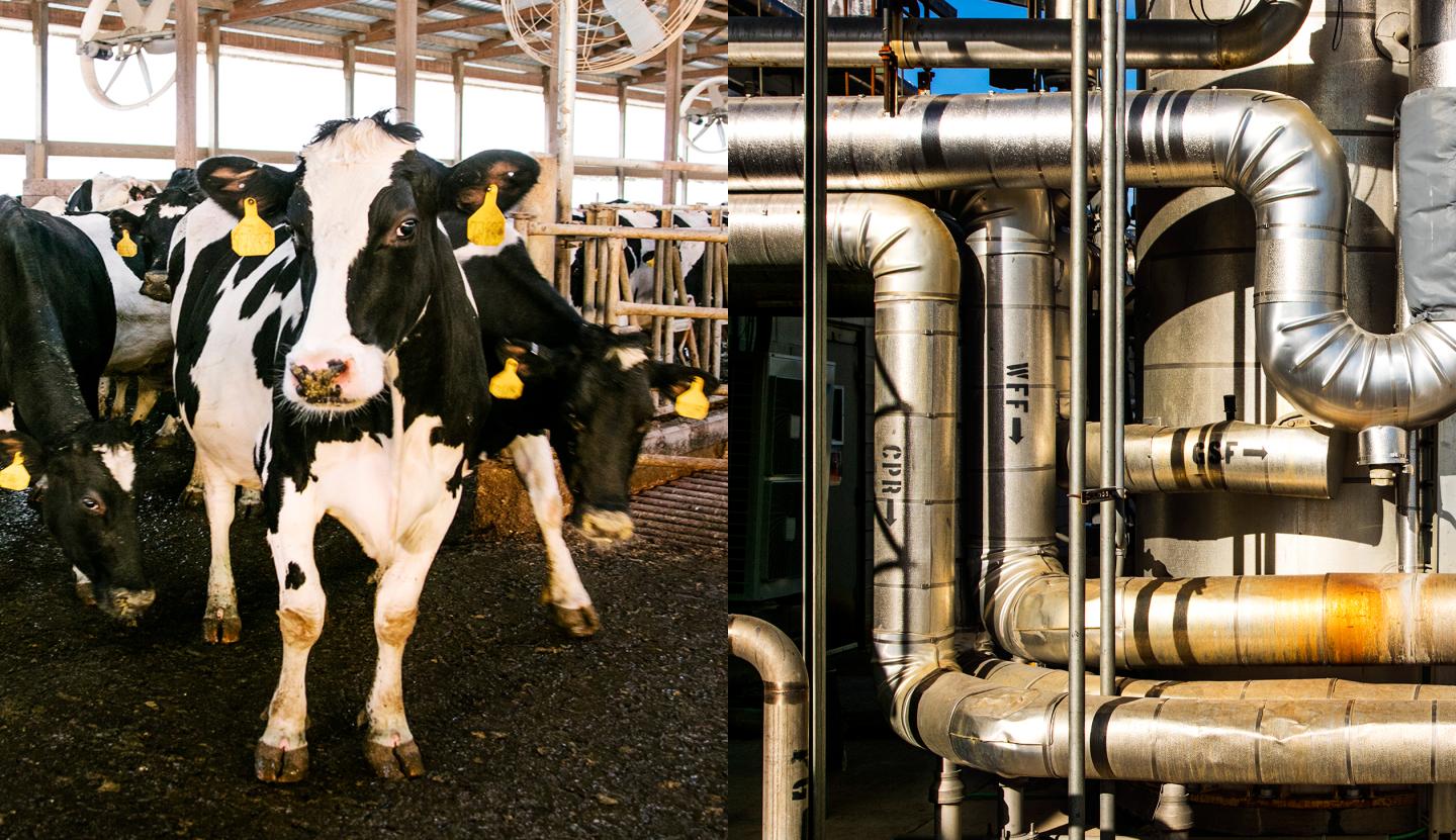 Big Agriculture Gets Its Sh*t Together