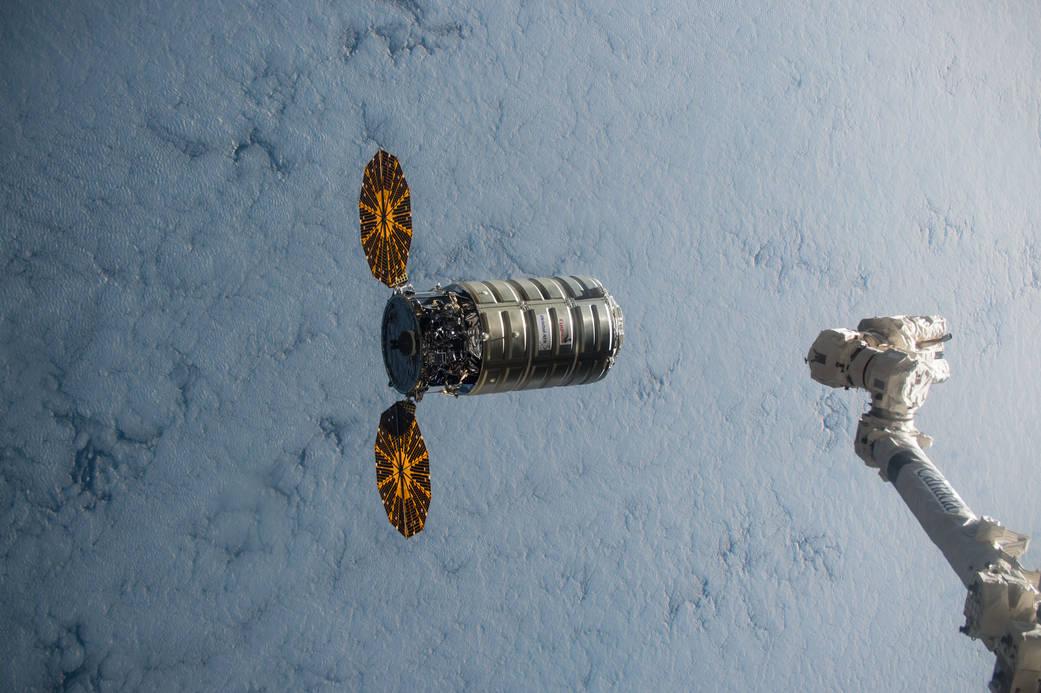 NASA Is Developing a Surprising New Way to Learn About Living In Space