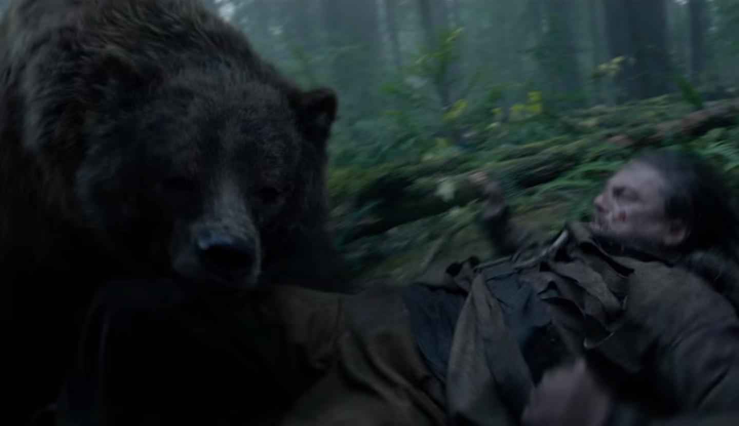 What Leonardo DiCaprio Can Teach You About Surviving The Bear Market