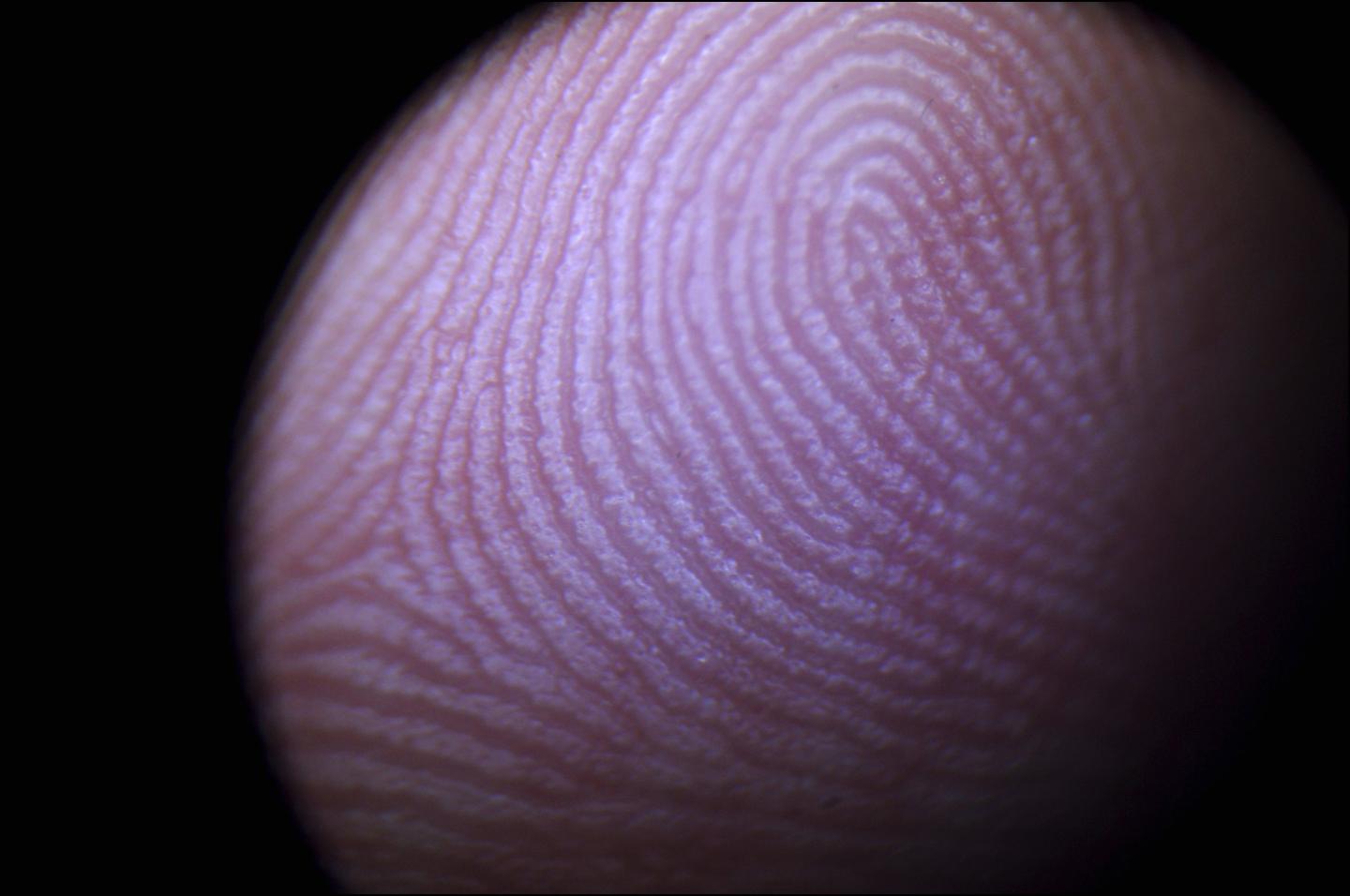 Biometrics: Body Identity. On November 29Th, 2005. In Paris, France