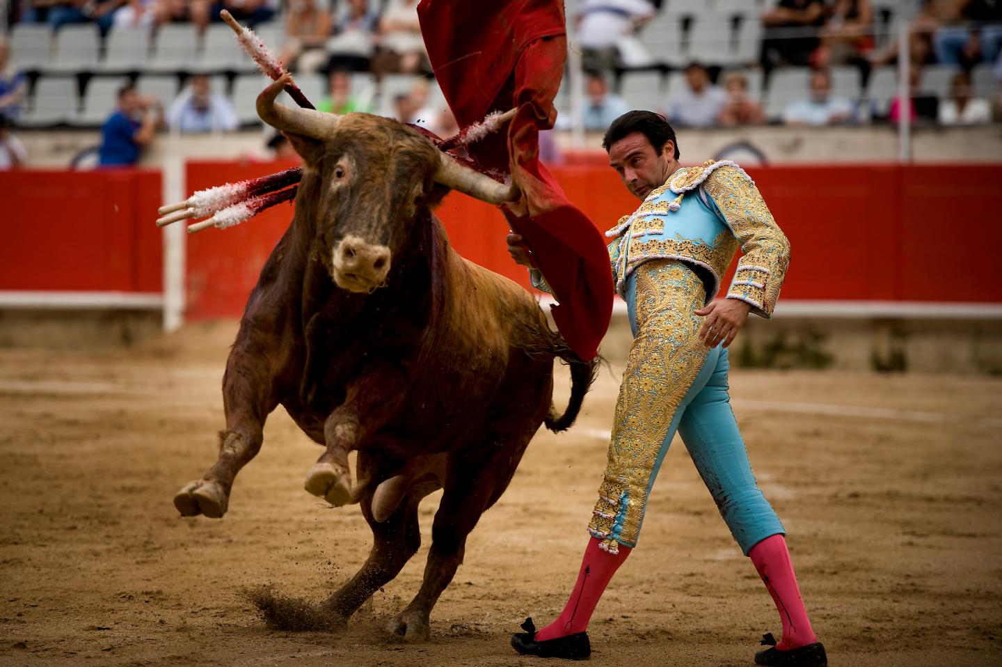 Bullfights in Barcelona 2011: Enrique Ponce, Morante de la Puebla and Serafin Marin