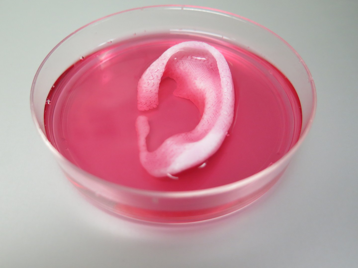 Researchers Have 3D-Printed Usable Human Bones and Muscles
