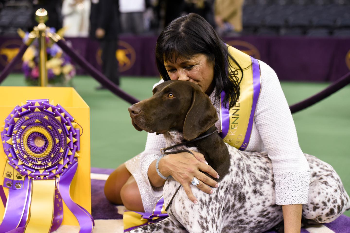 2016 Westminster Kennel Club Dog Show