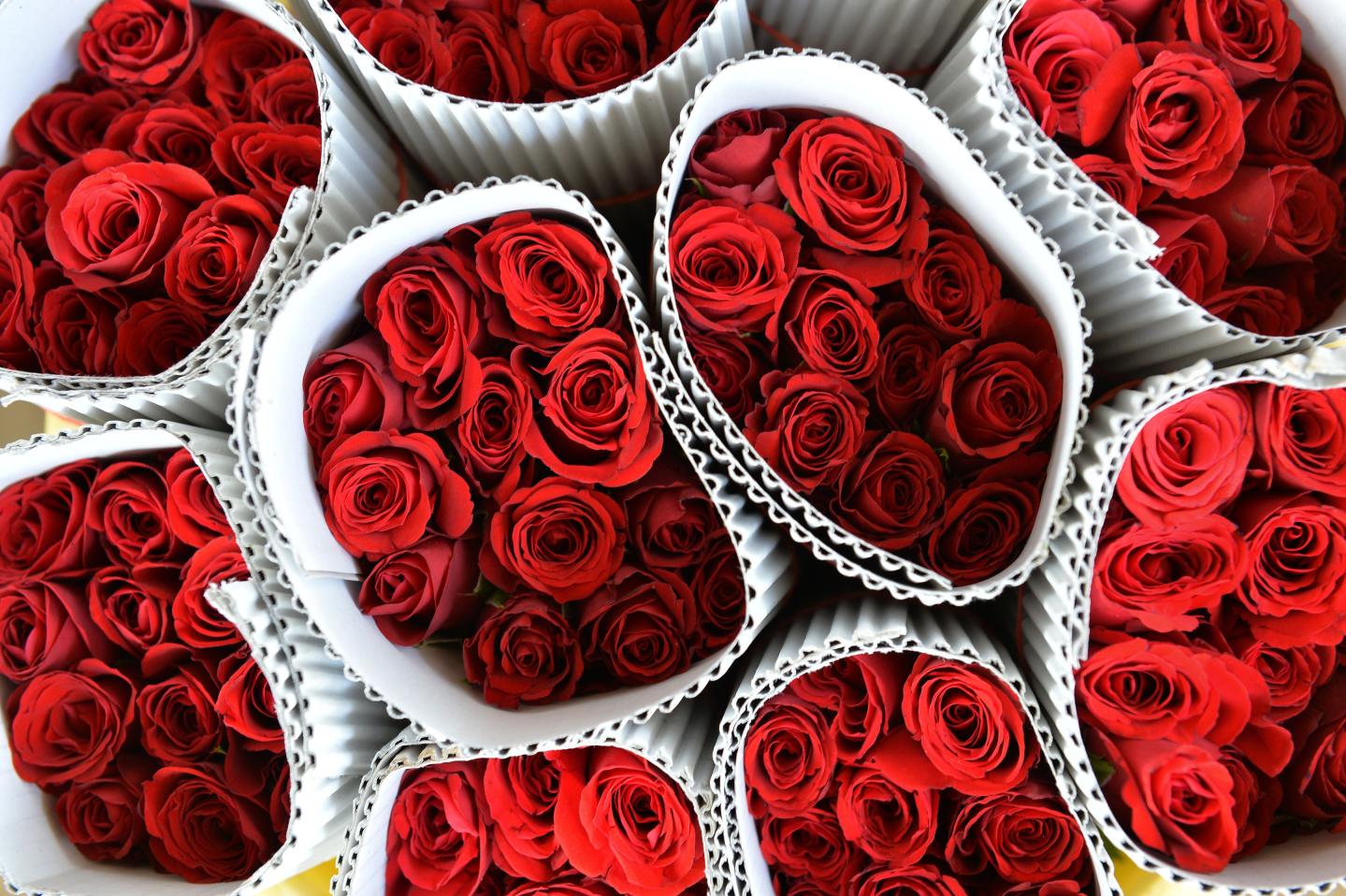 VALENTINES-DAY