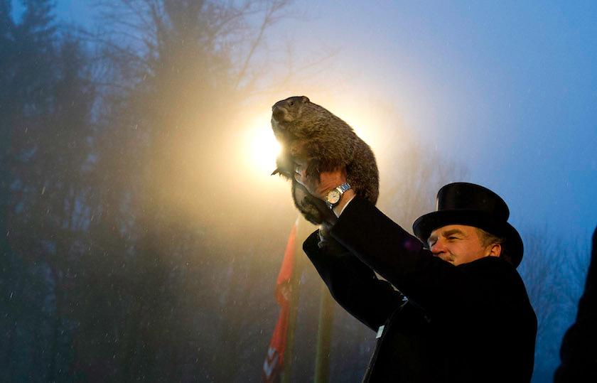 Punxsutawney Phil Makes Annual Forecast On Groundhog Day