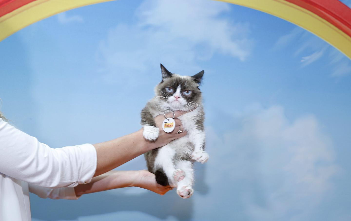 Friskies Create &amp; Taste Kitchen Press Preview