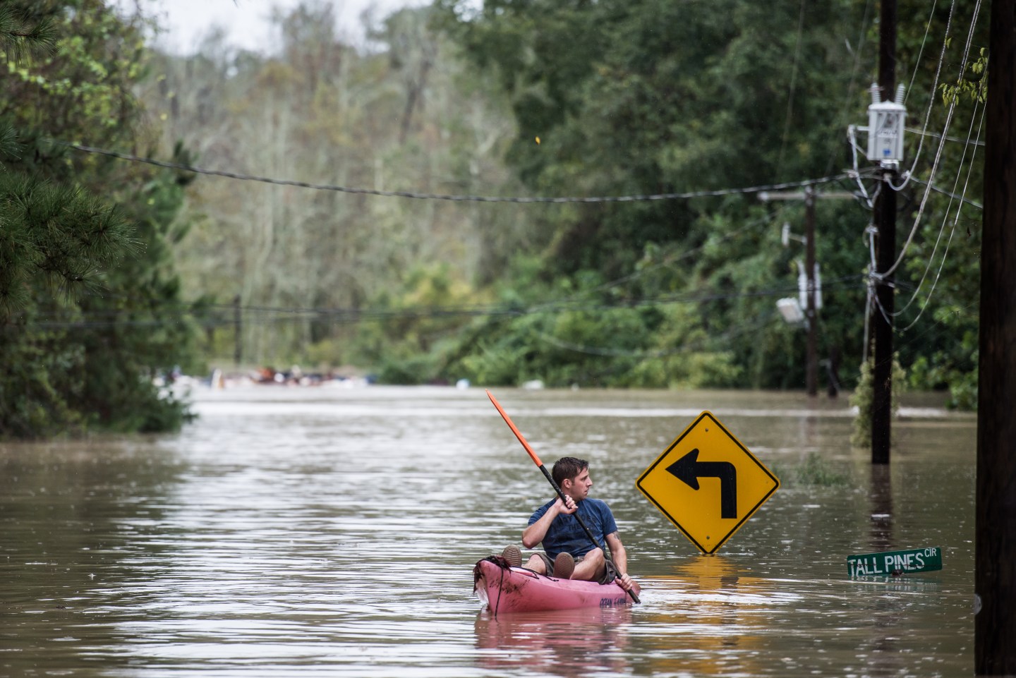 COLUMBIA, SC - OCTOBER 4: October 4, 2015 in Columbia, South Carolina. (Photo by Sean Rayford/Getty Images)