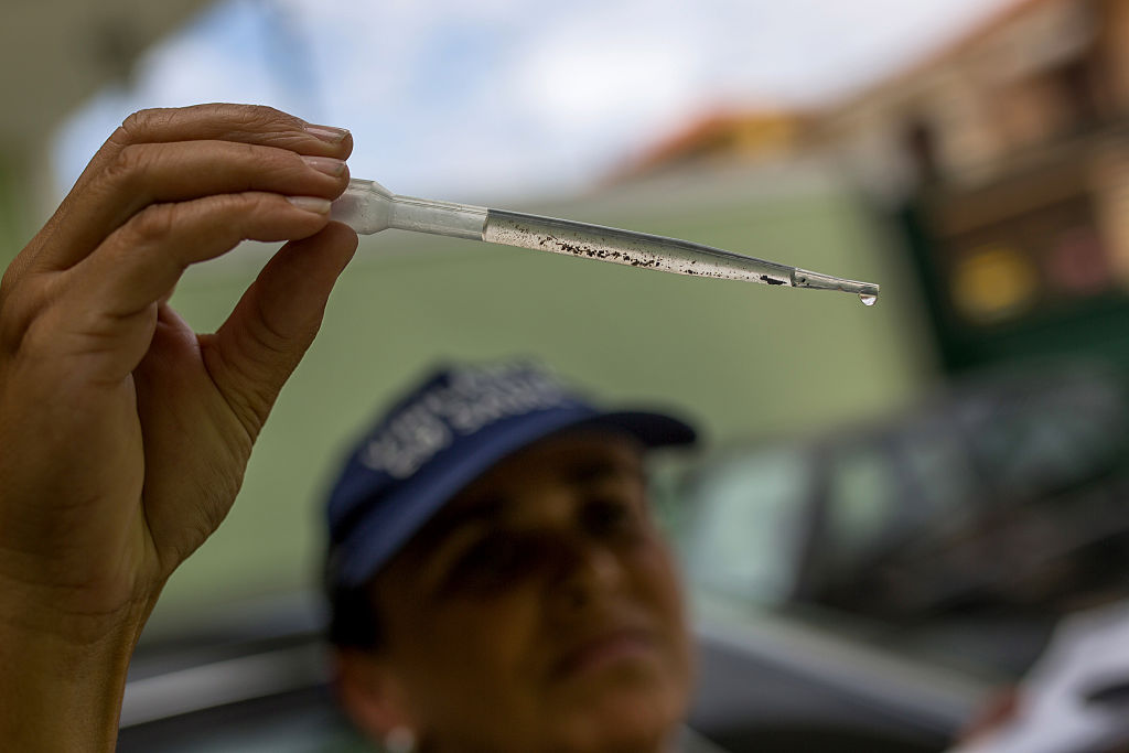 SAO PAULO, BRAZIL - JANUARY, 29:      Health agent performs collection and analysis of larvae that cause the mosquito Aedes Egypti in pots and plants in the Butanta residential neighborhood on January 29, 2016 in Sao Paulo, Brazil. According to the City Department of Health, the city of Sao Paulo has not yet submitted cases of microcephaly associated with mosquito bites. Since October, Brazil has recorded 3,893 suspected cases of the birth defect - which can lead to stillbirths, as well as long-lasting developmental and health problems among survivors. (Photos by Victor Moriyama/Getty Images)
