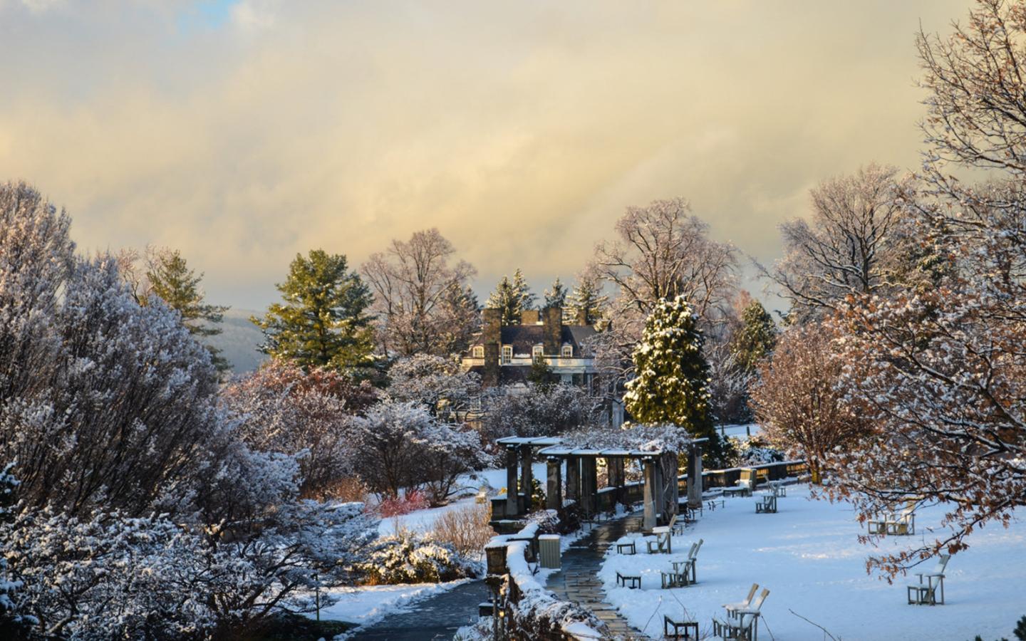 Snow Covered Grounds