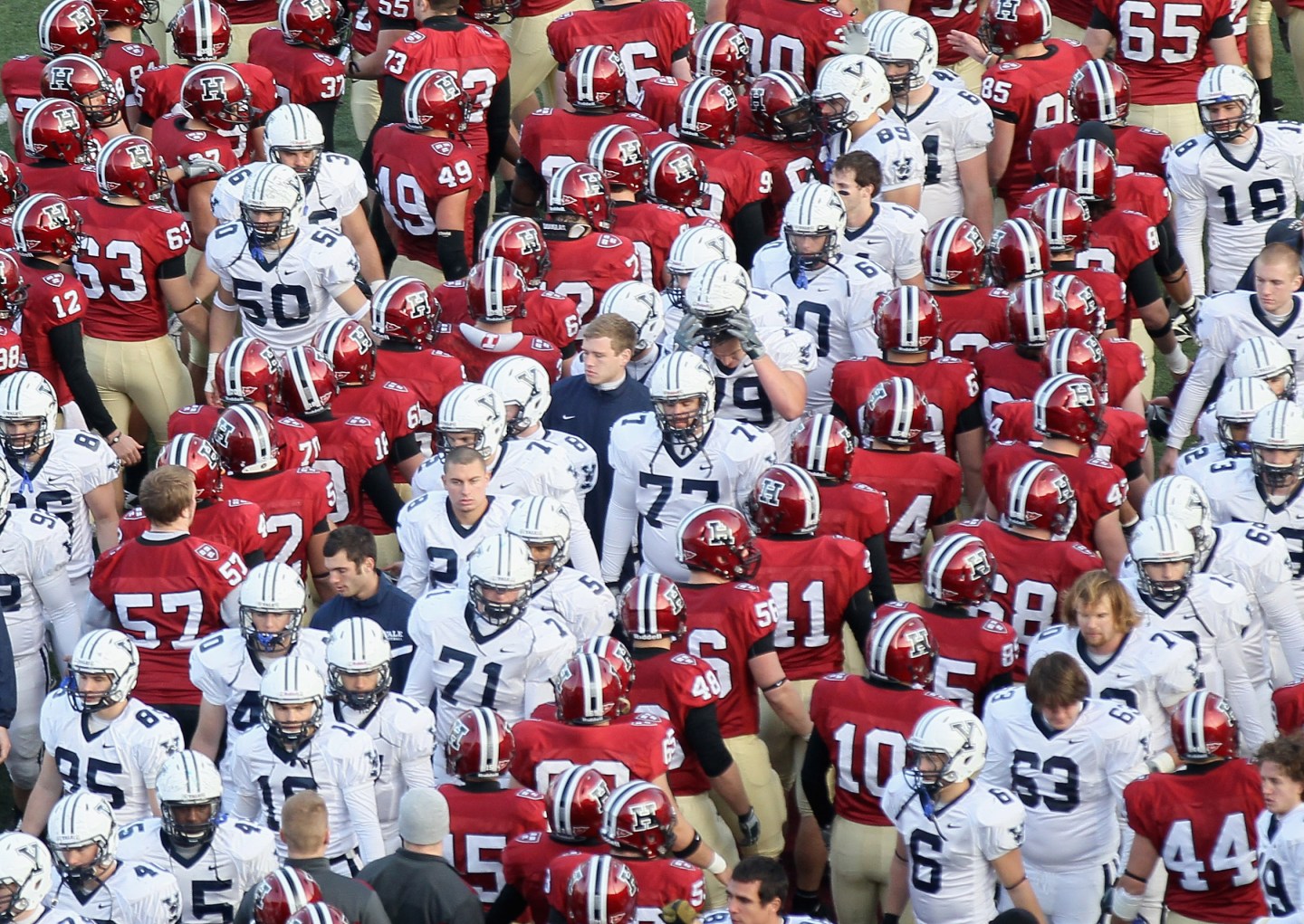 Yale v Harvard