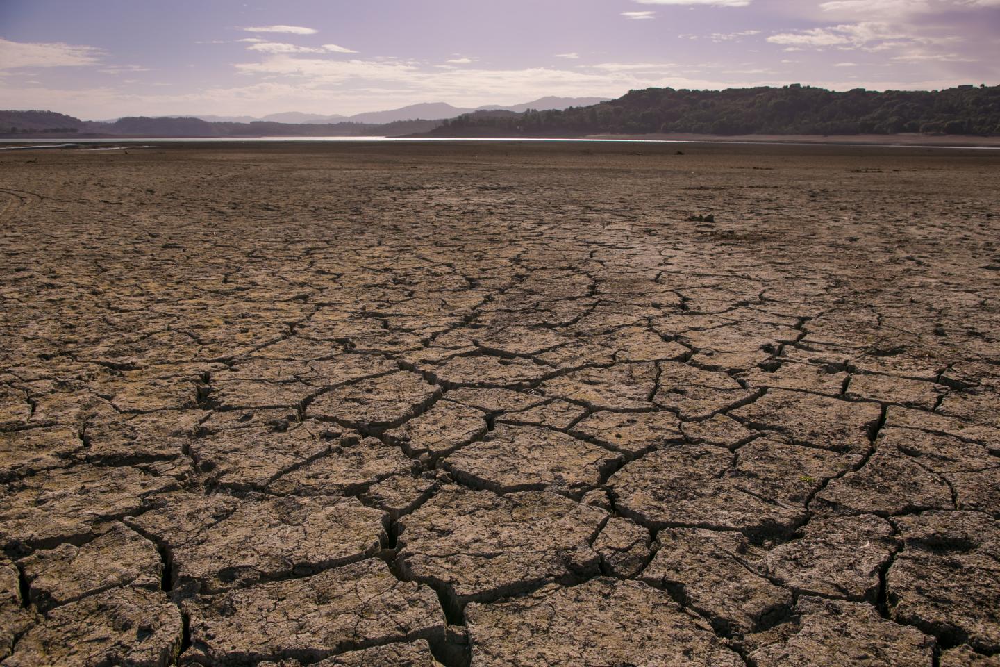 California's Drought Becomes Critical