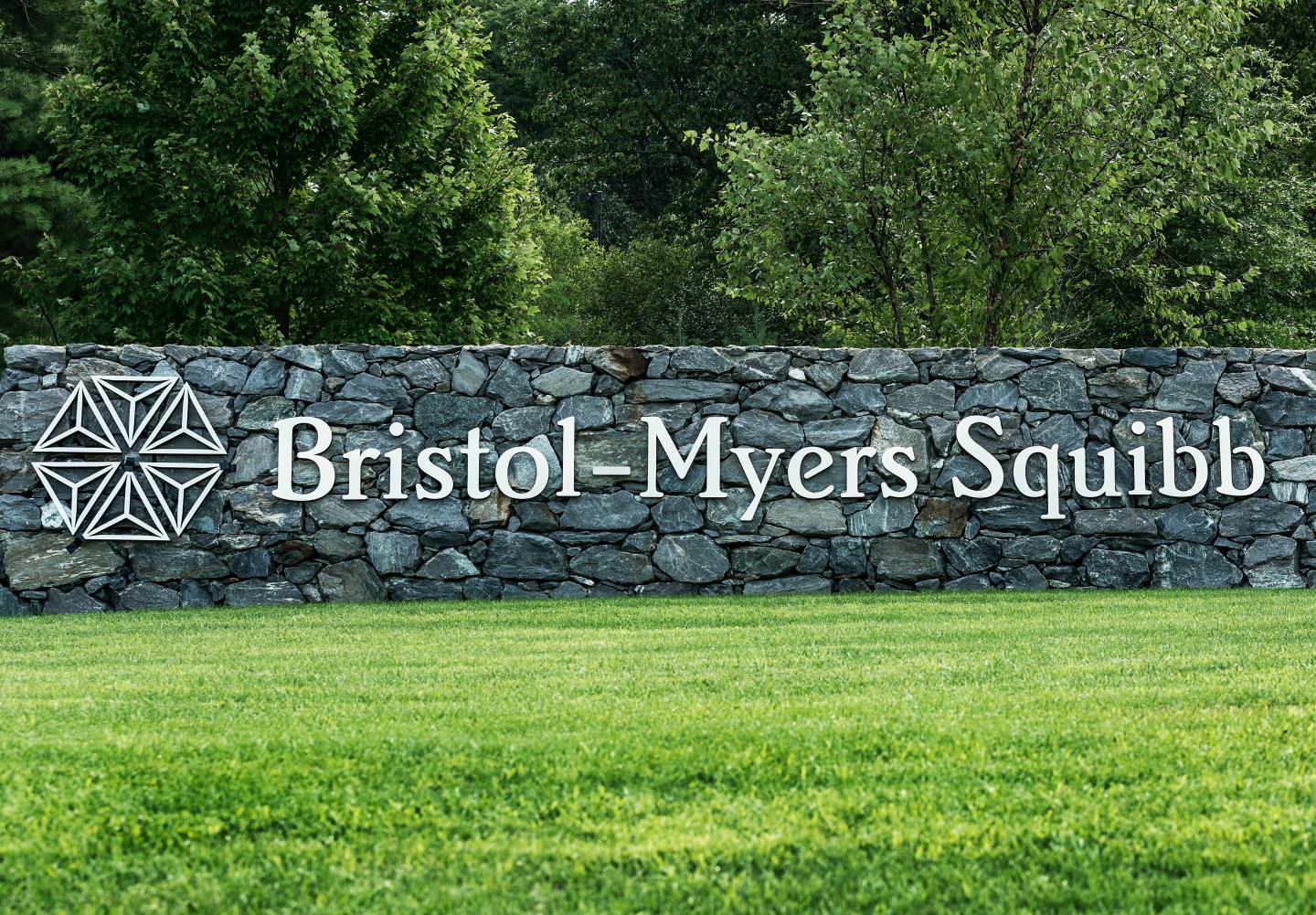 Bristol-Myers Squibb corporate and R &amp; D offices