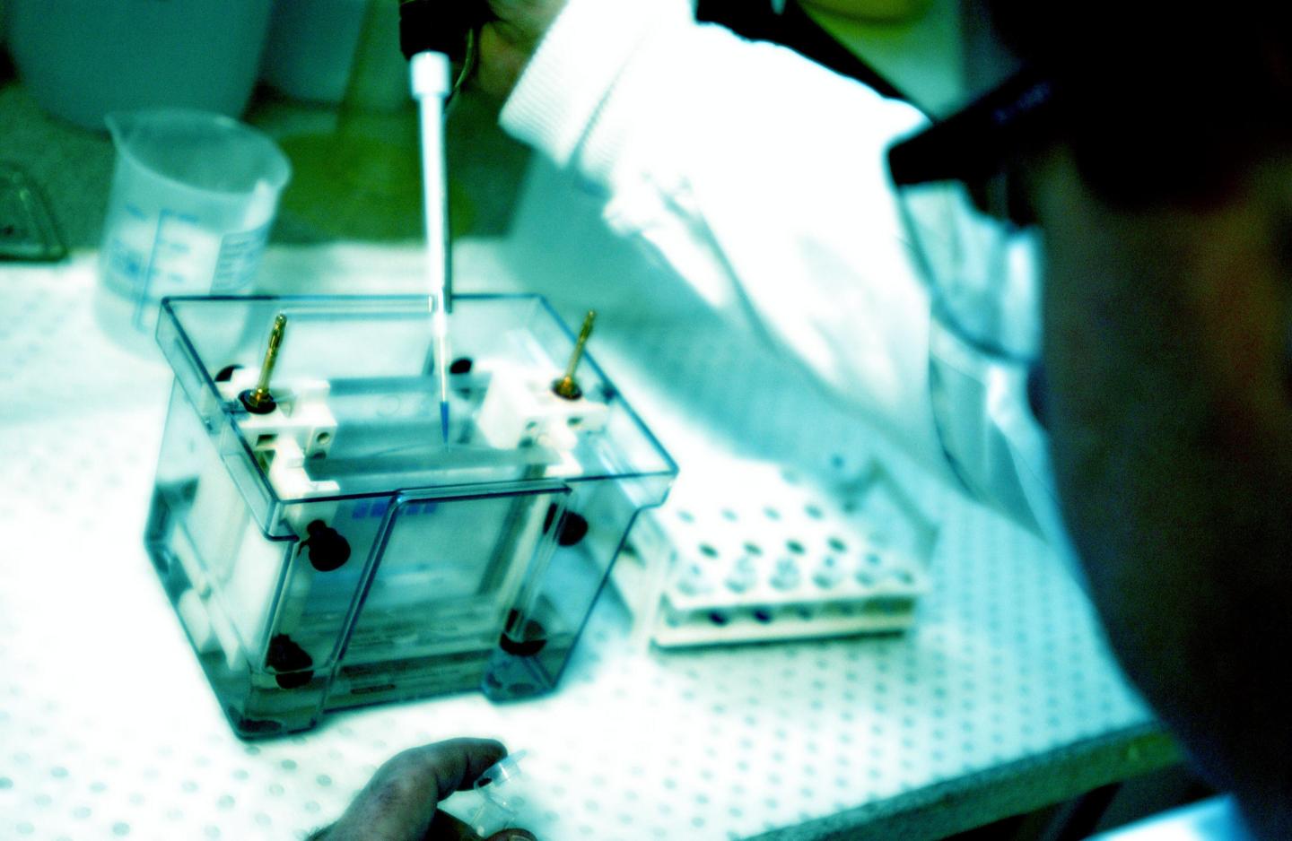 Not All Biotech Execs Dislike Hillary Clinton