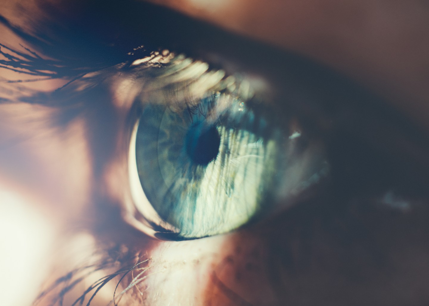 Alibaba Pays $100 Million For Eye-Scan Firm Used by U.S. Banks