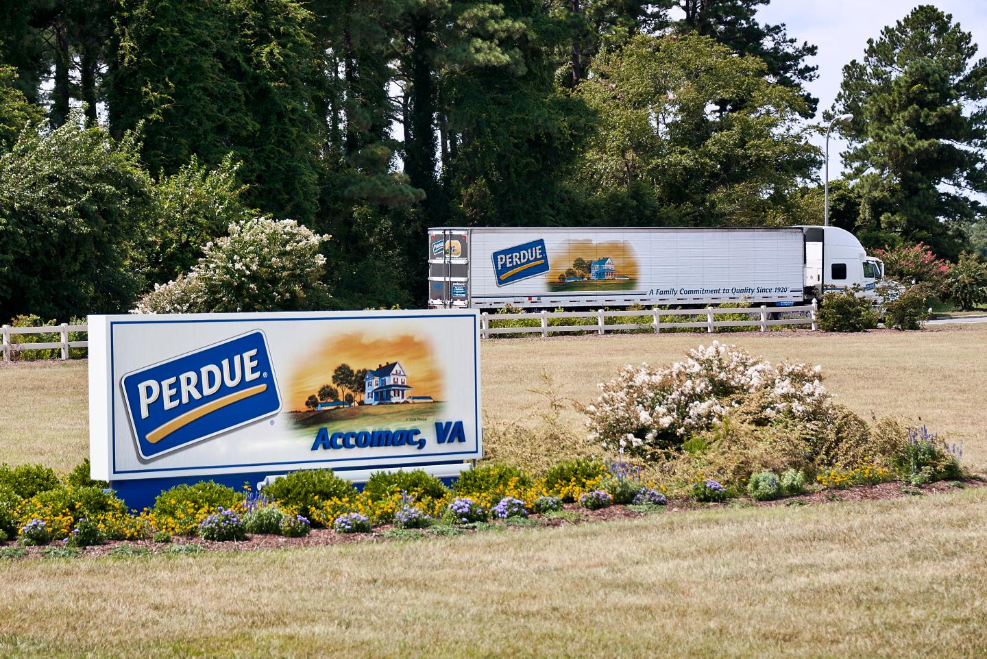 Perdue farms and chicken facility