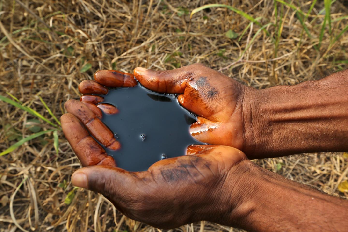 Nigerian Economy And Oil In Niger Delta And Port Harcourt