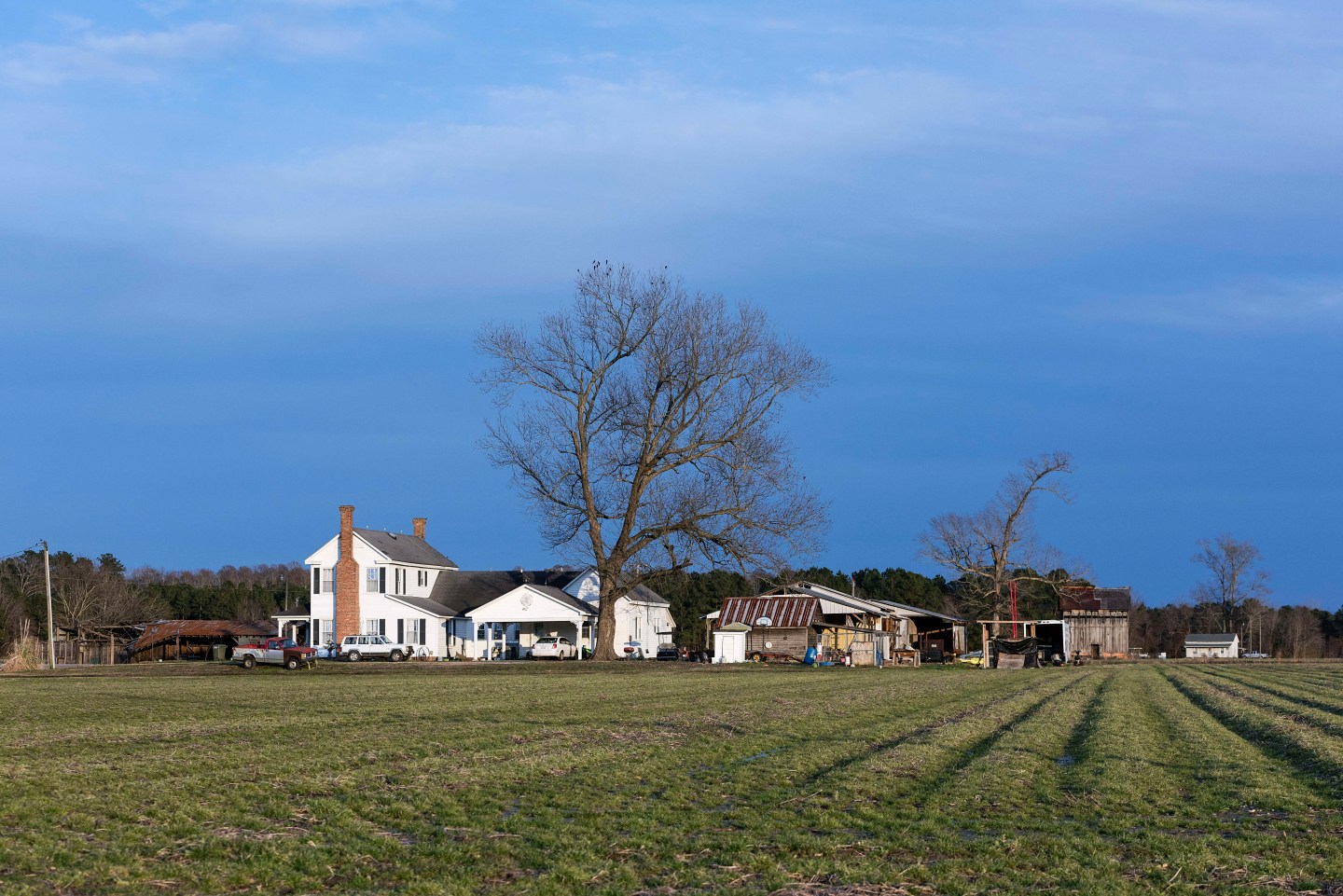 WILLIAMSTON, NORTH CAROLINA, UNITED STATES - 2016/02/10: Farm house. (Photo by John Greim/LightRocket via Getty Images)