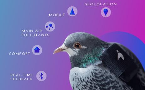 Pigeons Wearing Tiny Backpacks are Tweeting about London’s Air Pollution