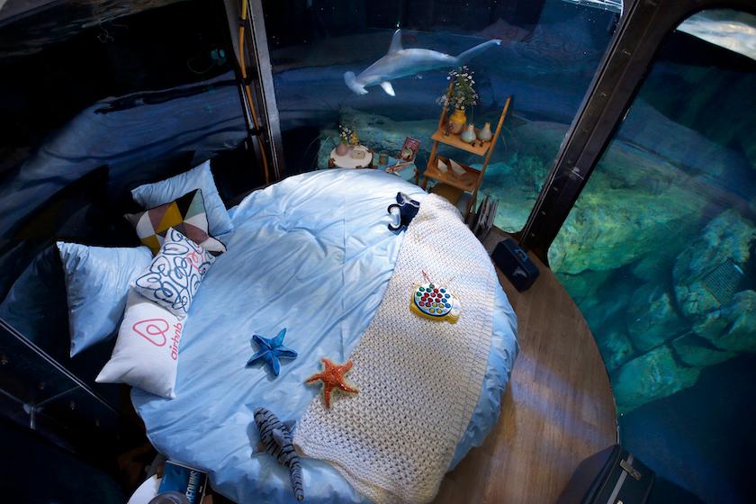 A view shows an underwater room structure installed in the Aquarium of Paris