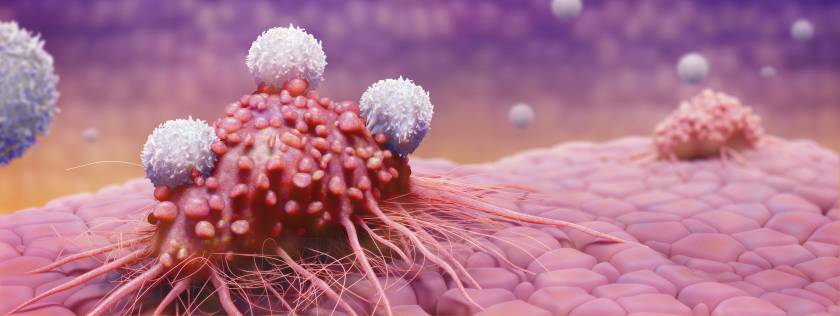 T-cells attacking cancer cell, artwork