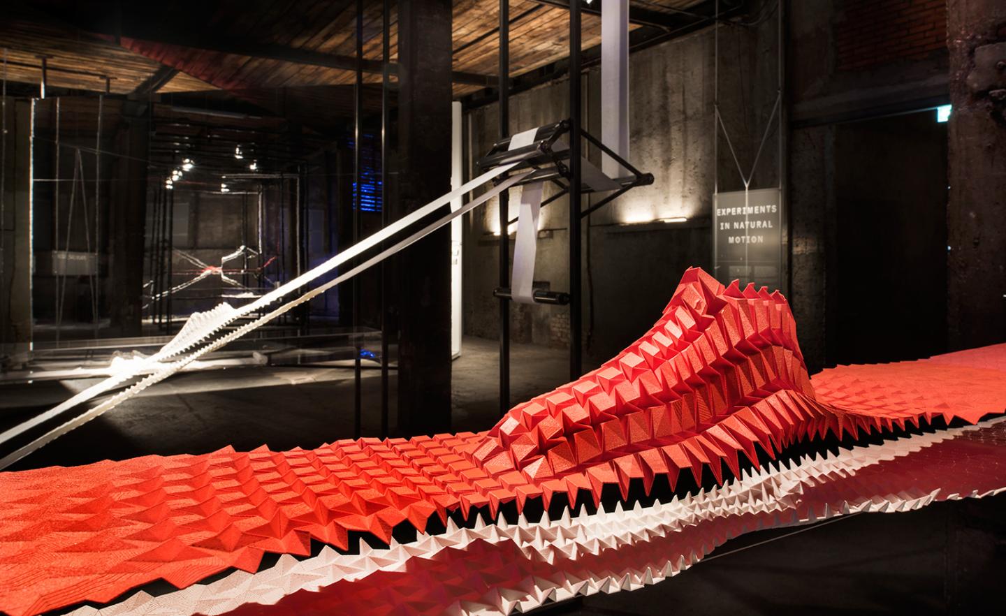 Nike’s Design Head: ‘The Goal Is Goose Bumps’