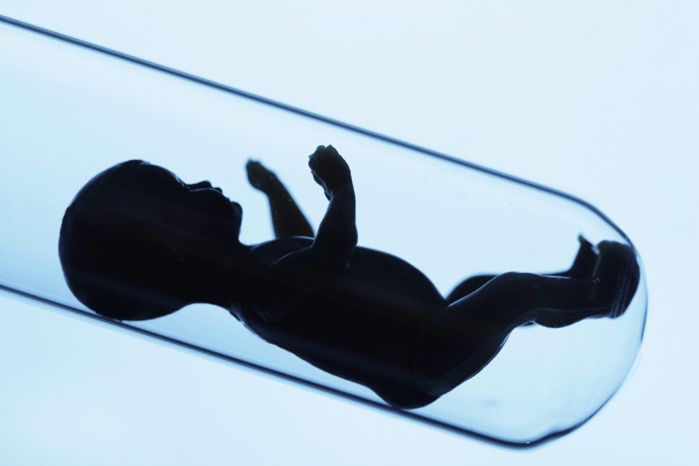 Feature: Baby from the test tube, artificial insemination, Our picture shows a baby doll in a test tube.