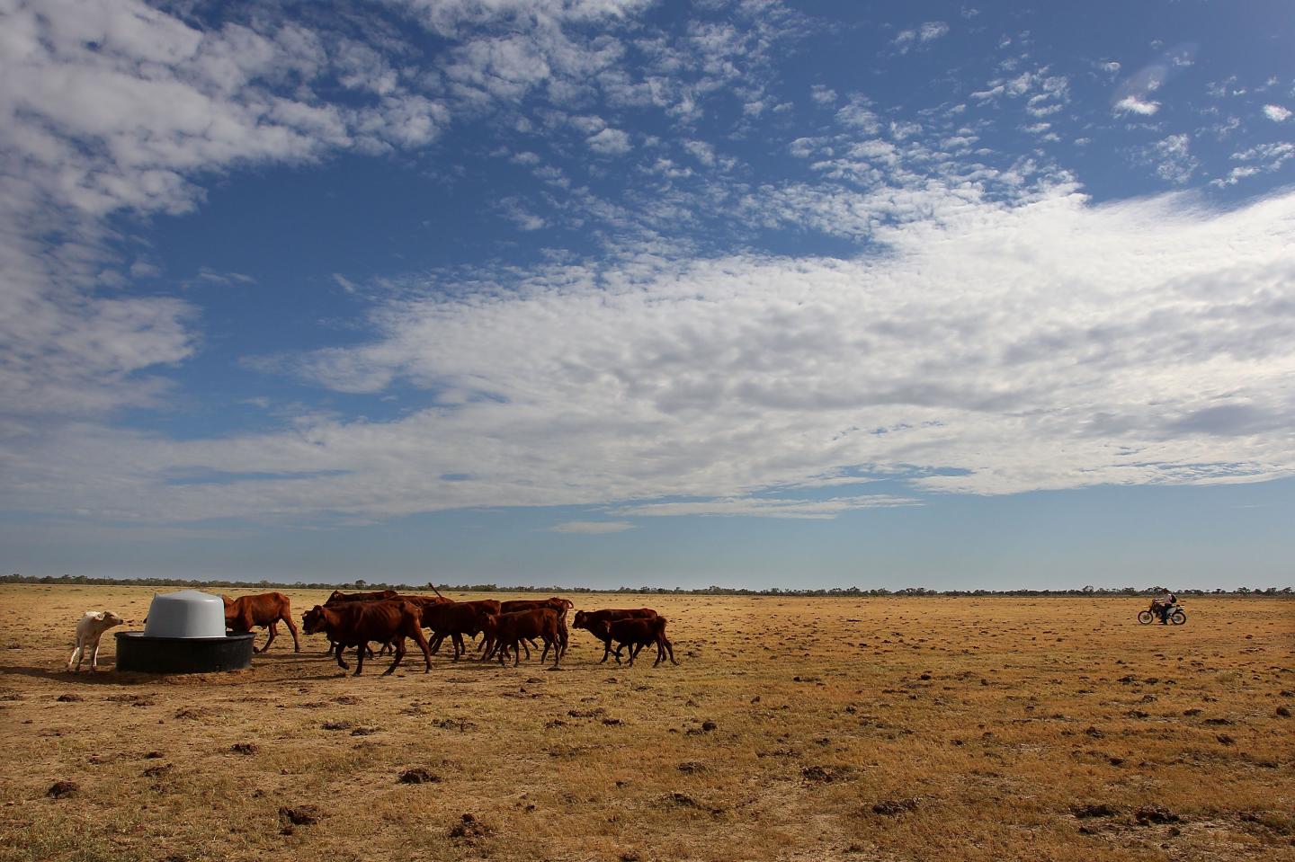 Record Drought-Declared Throughout The State of Queensland