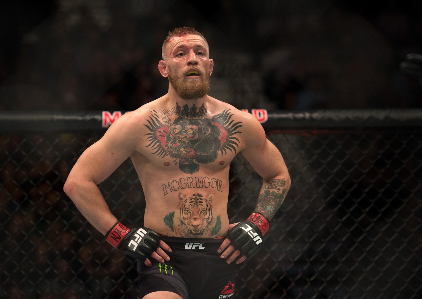 UFC 196: McGregor v Diaz