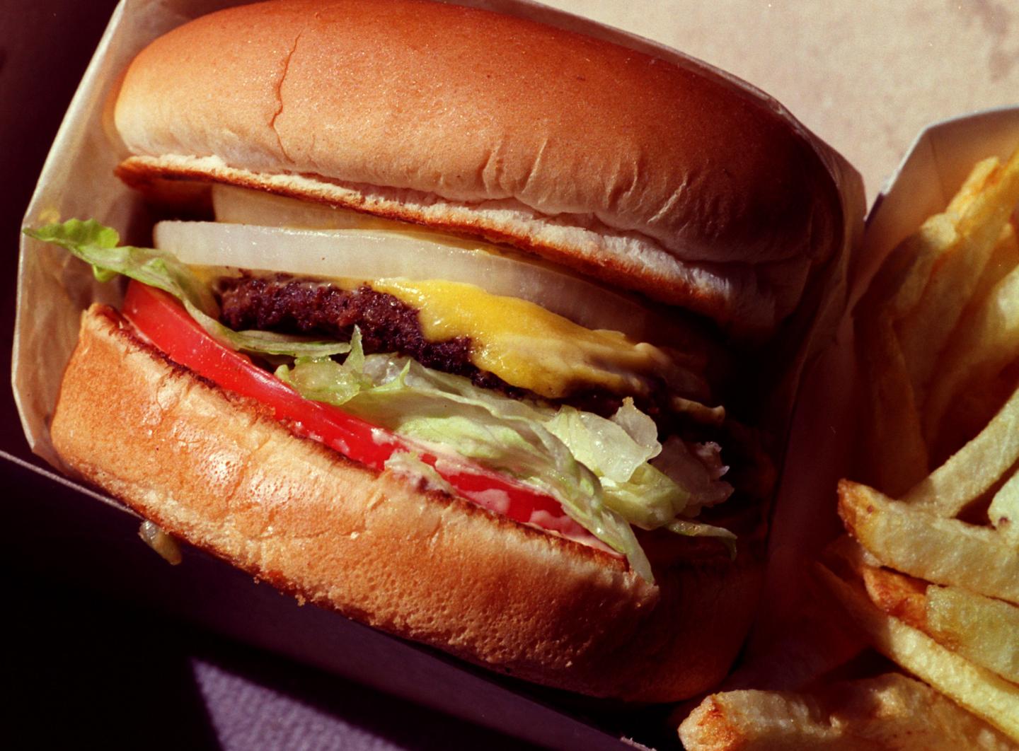008096.FI.0511.burger2.rl A closeup of a cheese burger from InNOut.
