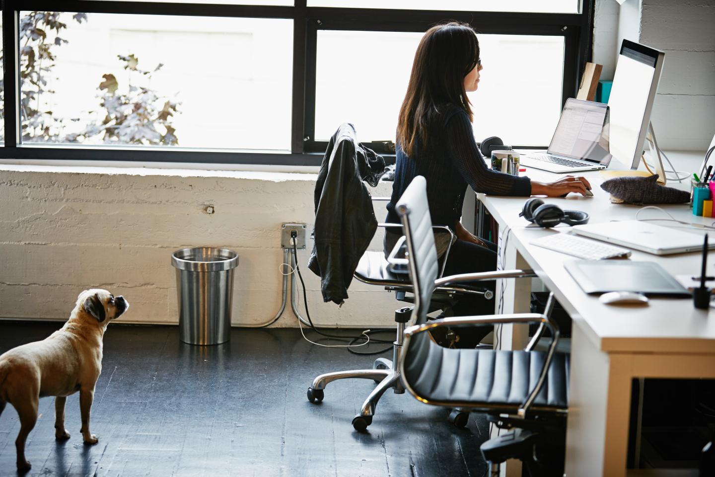 Businesswoman at desk with dog looking up at her