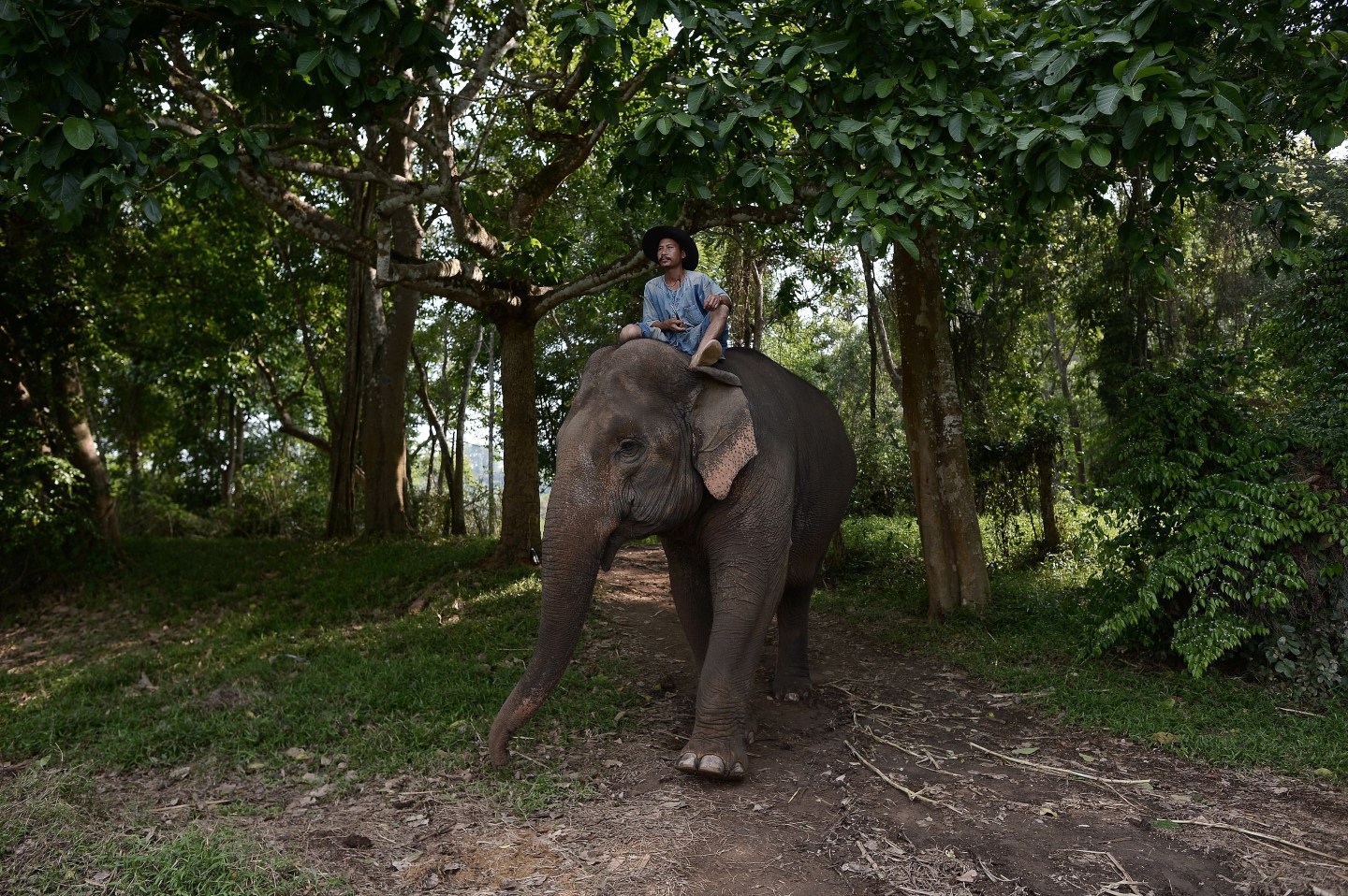THAILAND-ANIMALS-GASTRONOMY