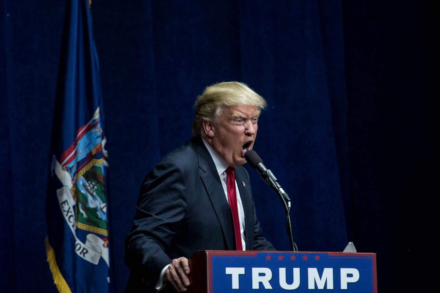 Donald Trump Holds Rally In Bethpage, New York