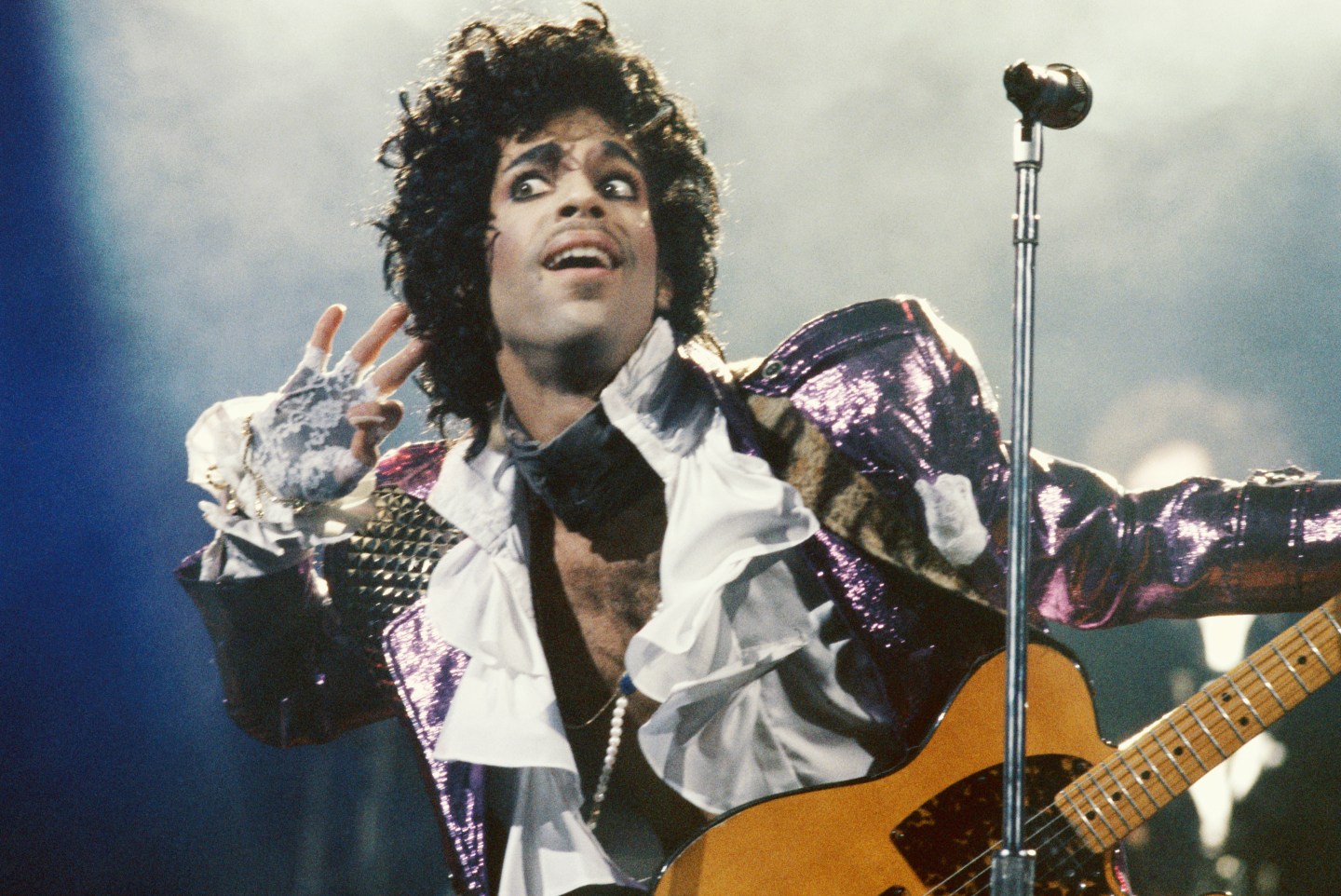 Prince Live In Concert