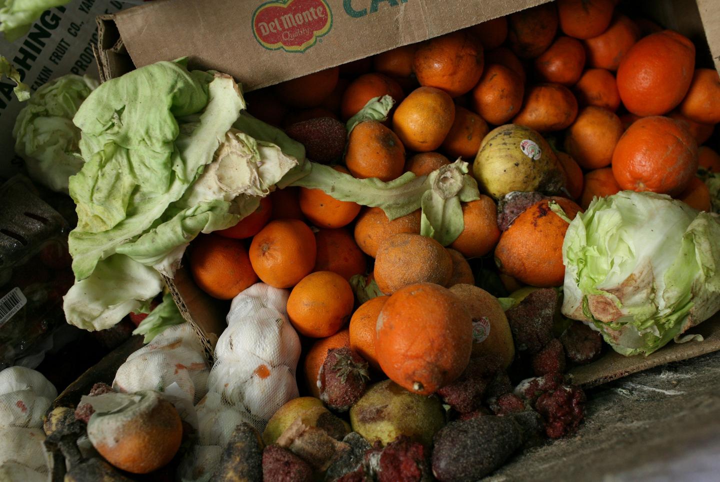 Thousands Of San Francisco Area Restaurants Turn Food Waste Into Fertilizer